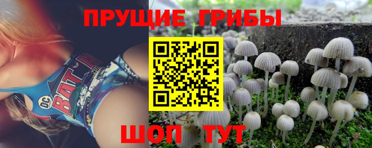Псилоцибиновые грибы ЛСД  Вход с VPN  Костомукша 